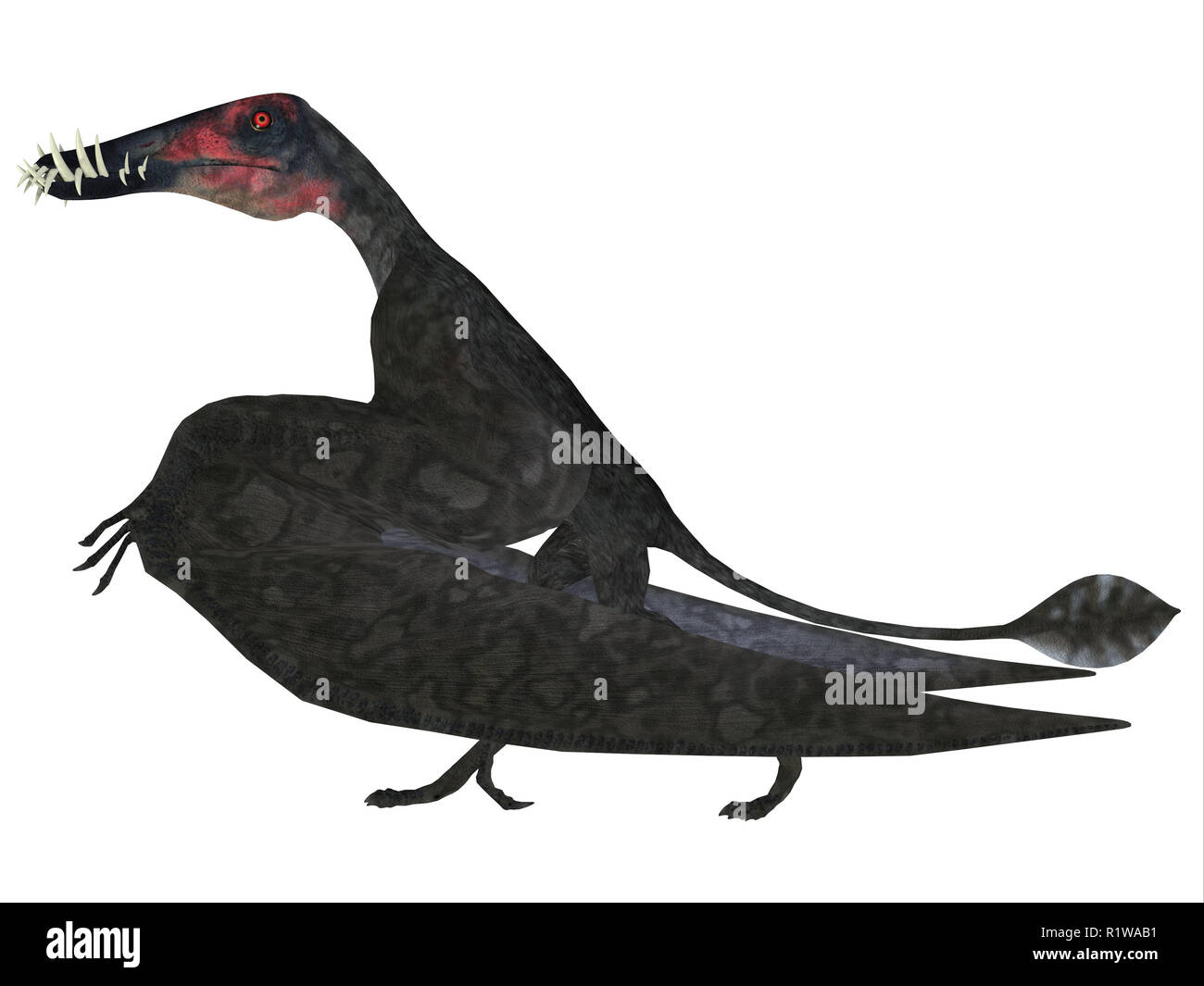 Dorygnathus Pterosaur carnívoro era un reptil que vivió en Europa durante el periodo jurásico. Foto de stock