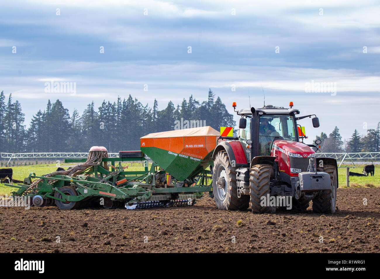 Sheffield / Nueva Zelanda - 11 de septiembre de 2018: Un agricultor semillas sus prados en primavera con una sembradora neumática Amazone detrás de un Massey Fergus Foto de stock