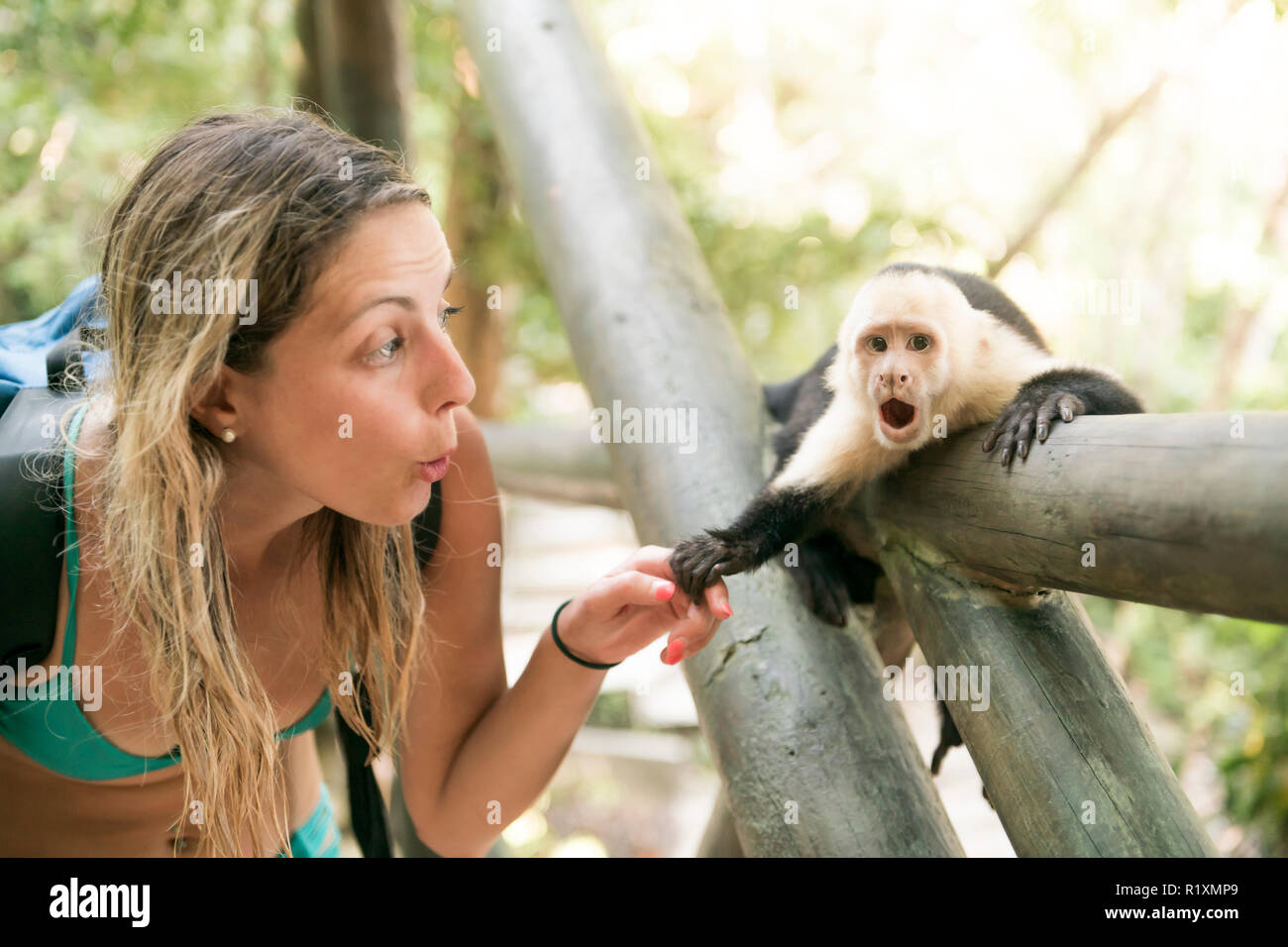 excitación Fonética débiles Un curioso mono mujer sosteniendo la mano en el bosque Fotografía de stock  - Alamy