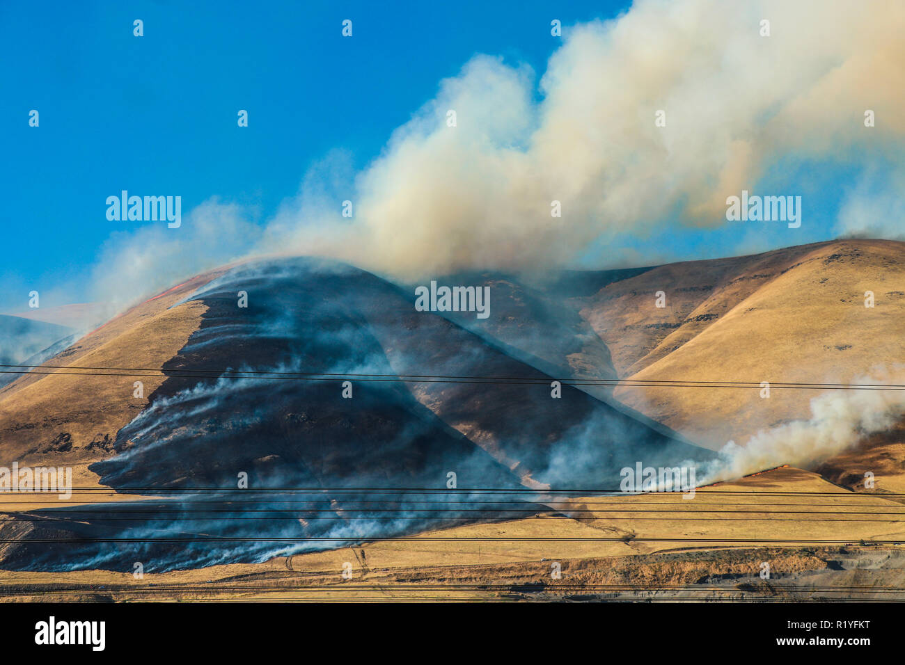 Los incendios forestales del noroeste pacífico, EE.UU. Foto de stock