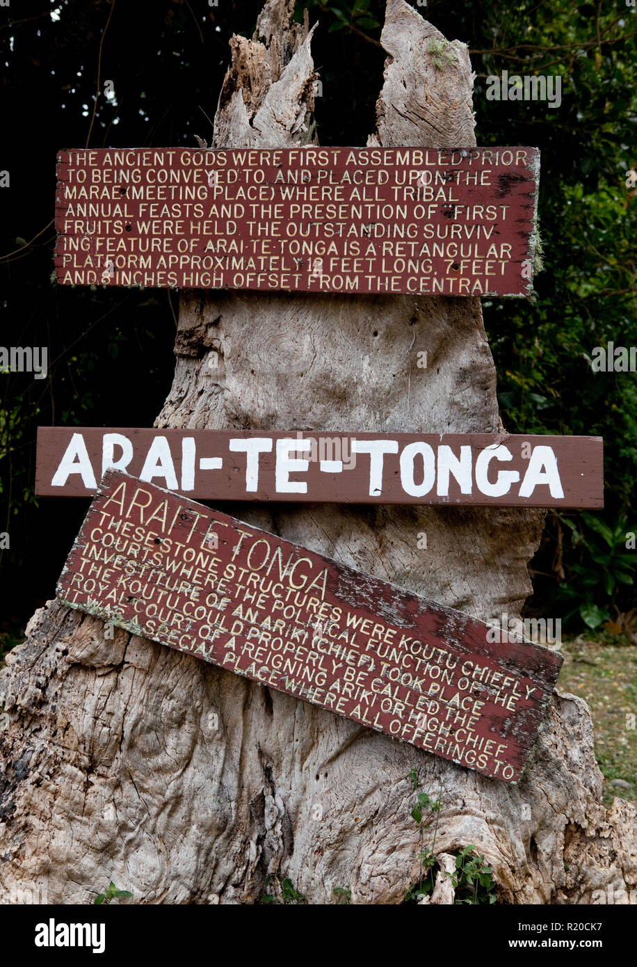 Arai Te Tonga info árbol en Rarotonga, Islas Cook. Foto de stock