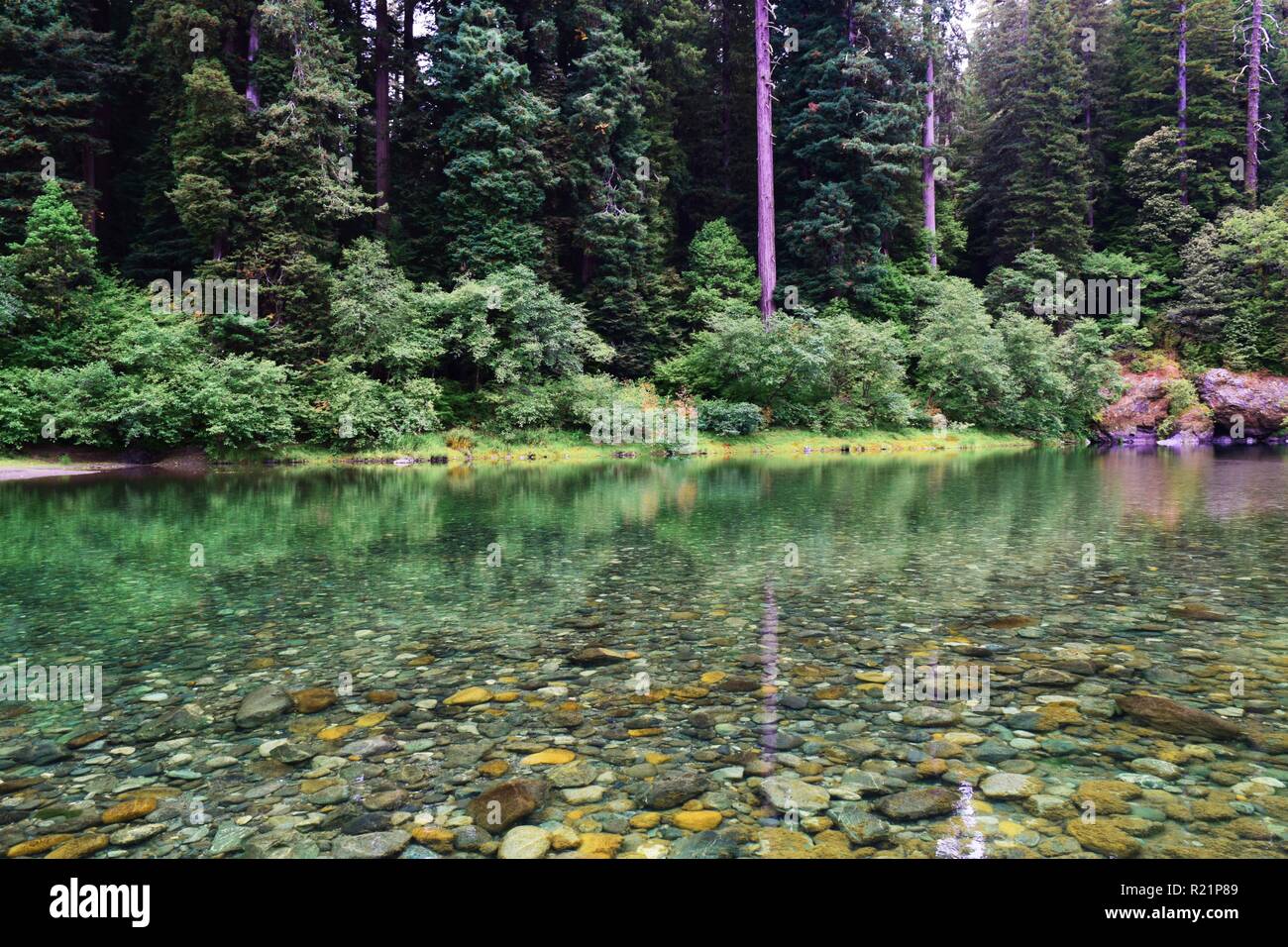 Smith River en Jedediah Smith Redwoods State Park Foto de stock
