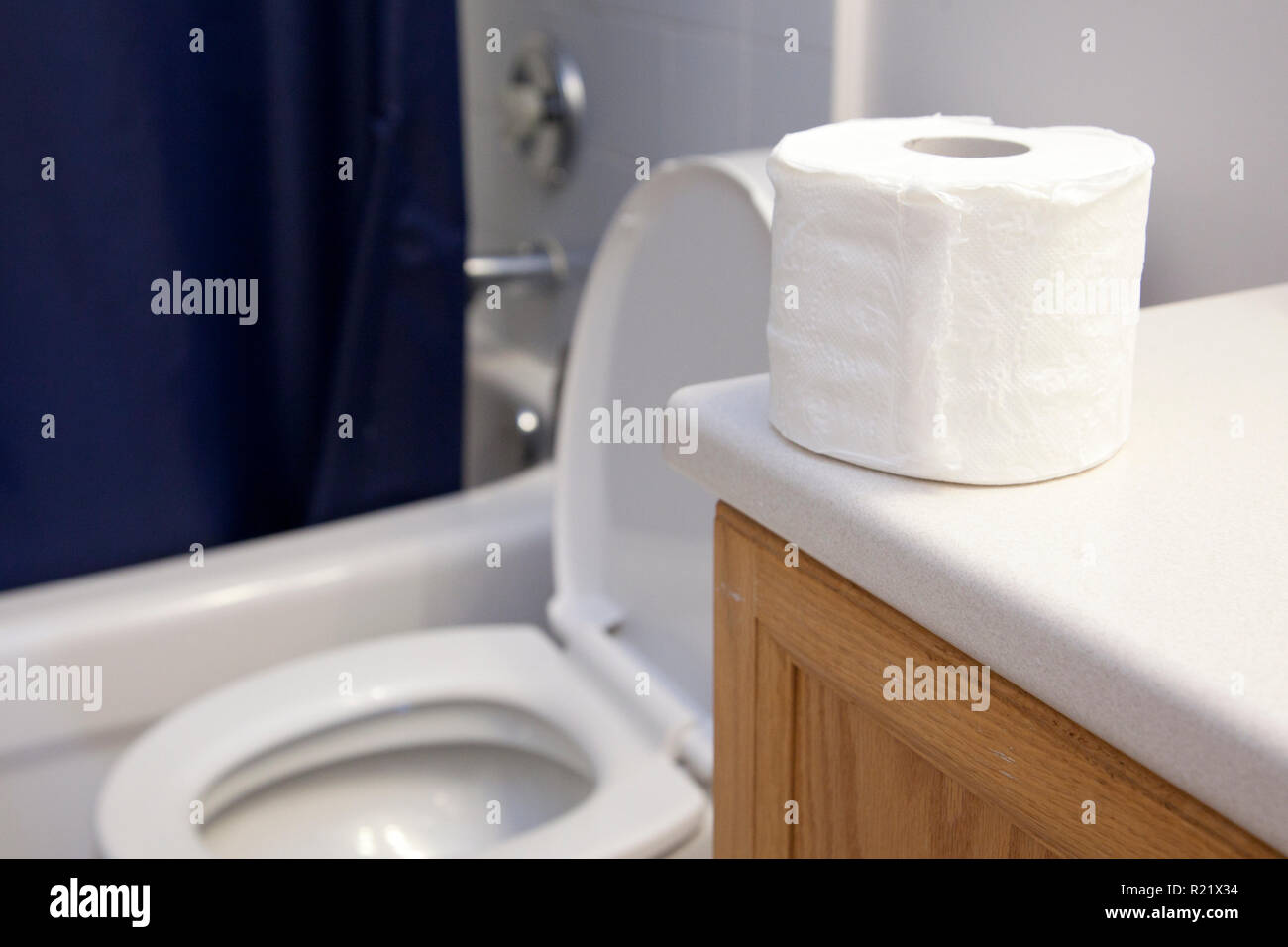 Rollo de papel higiénico sentado al lado de un wc en el baño abierto  Fotografía de stock - Alamy