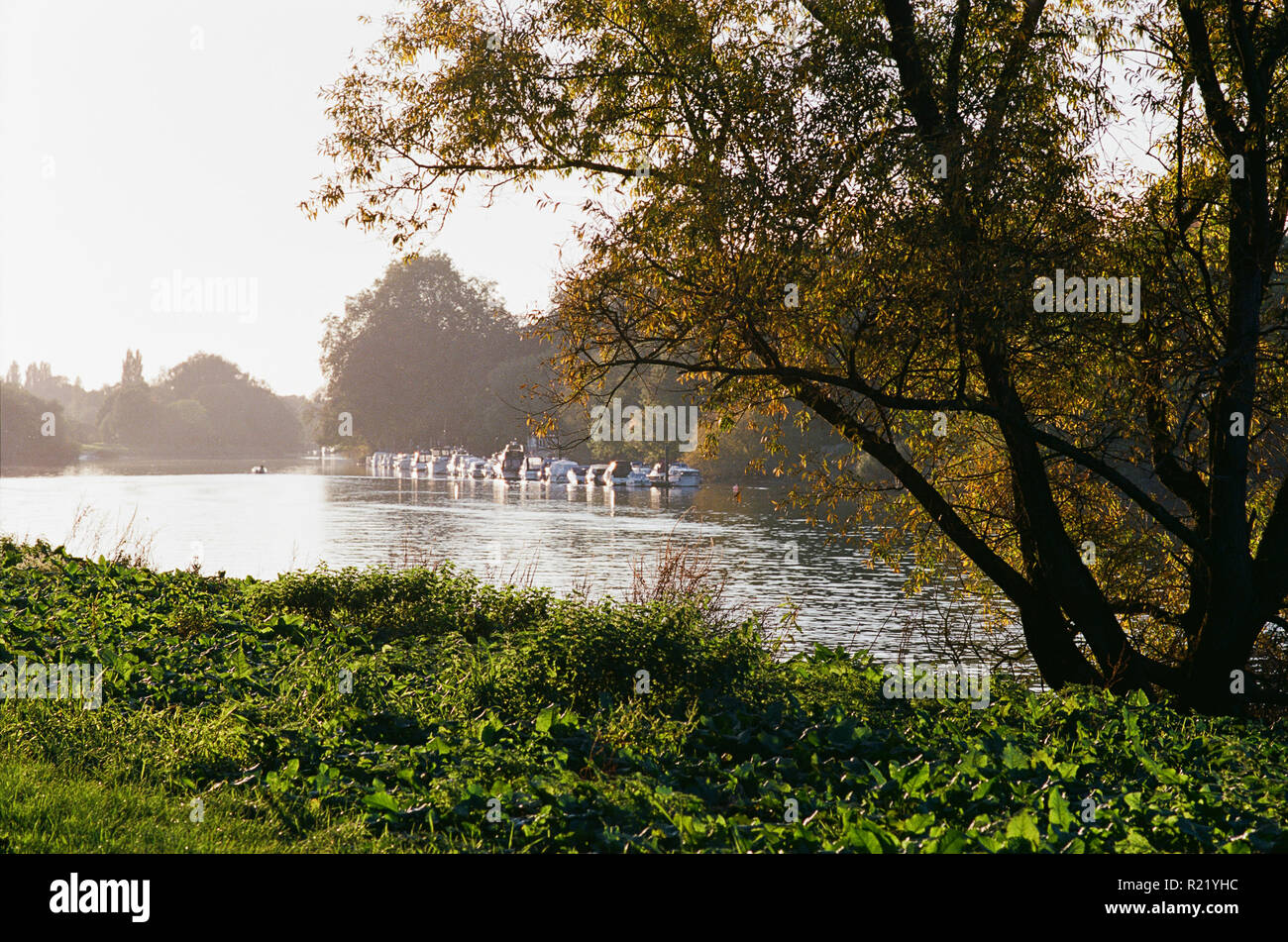 El río Támesis, entre Richmond y Twickenham, al suroeste de Londres, por la tarde, en un soleado día de octubre Foto de stock