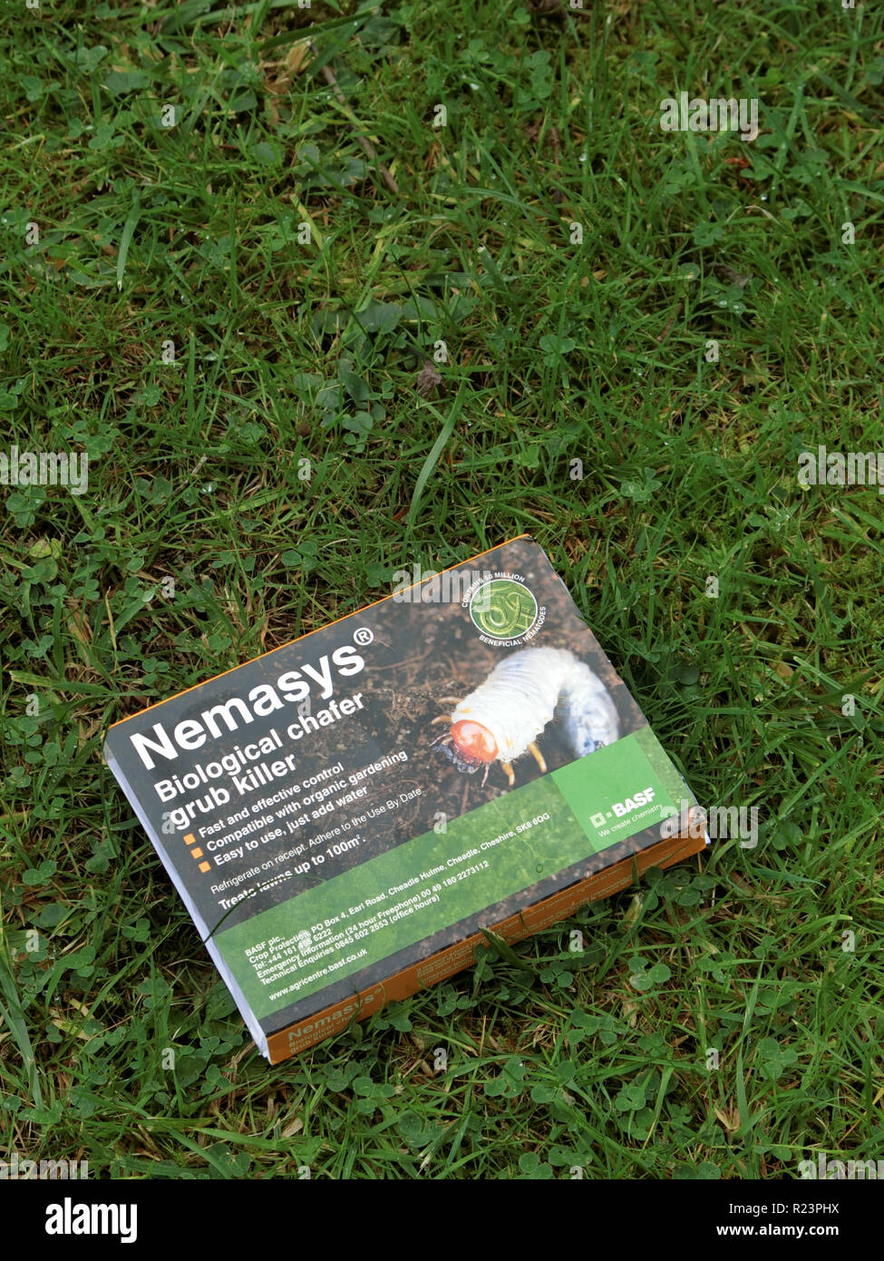 Control biológico de nematodos Nemasys Chafer larvas en el césped, UK Foto de stock
