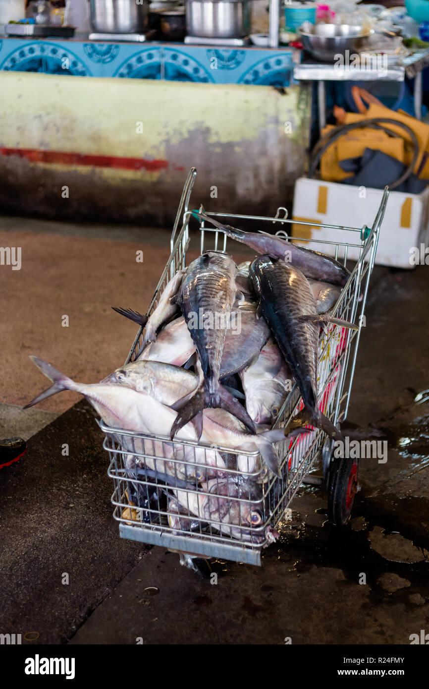 Selección de pescados crudos tailandés en el mercado local en Krabi. Forma tradicional de venta de marisco fresco en el sudeste de Asia. Foto de stock
