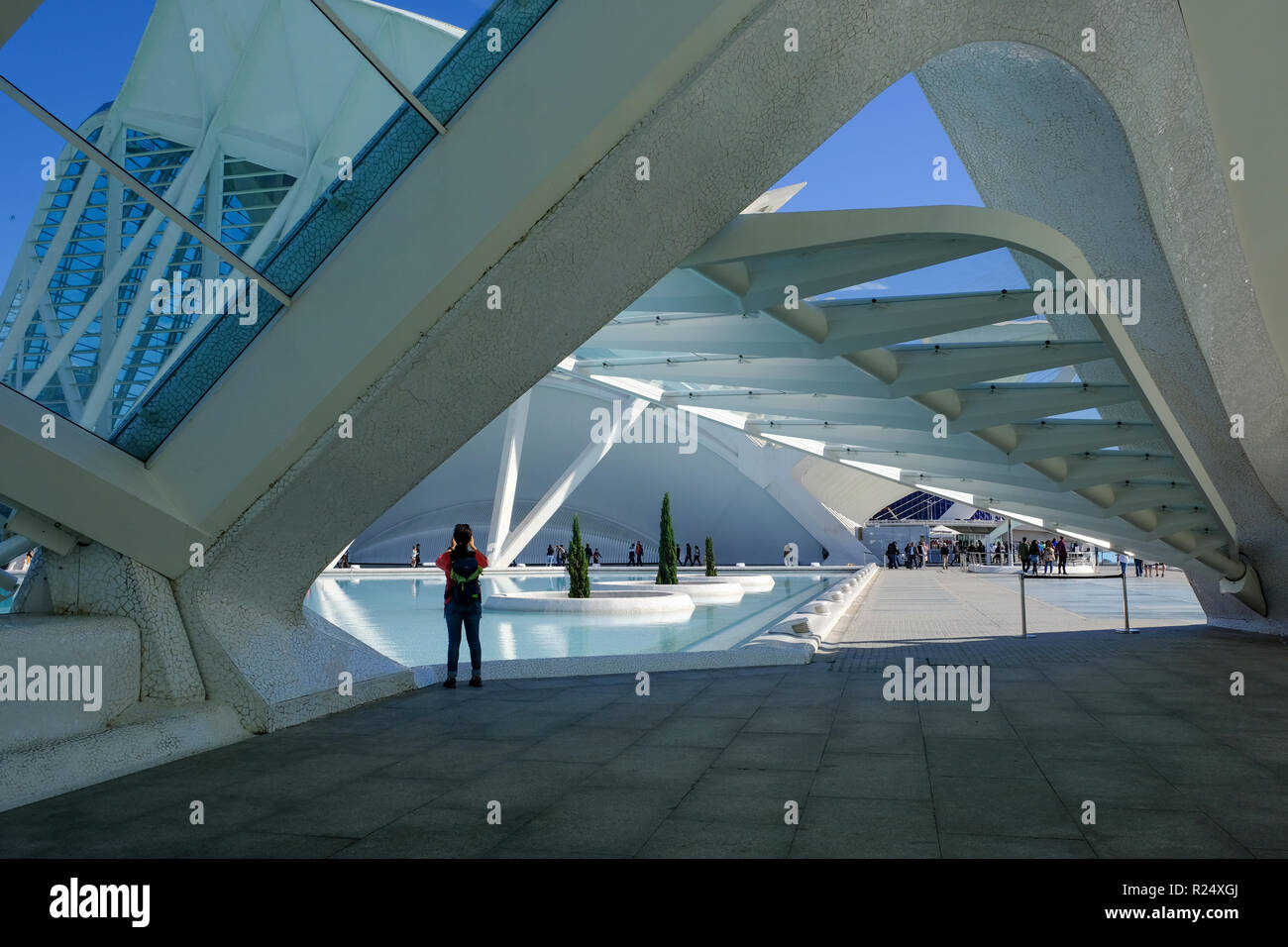 Ciudad de las Artes y las Ciencias, Valencia, España Foto de stock