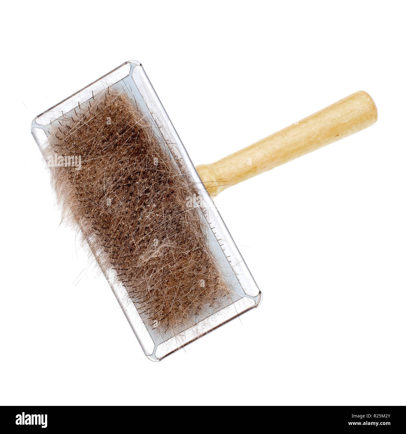 Gato mascota grooming Brush with fur aislado en blanco. Foto de stock