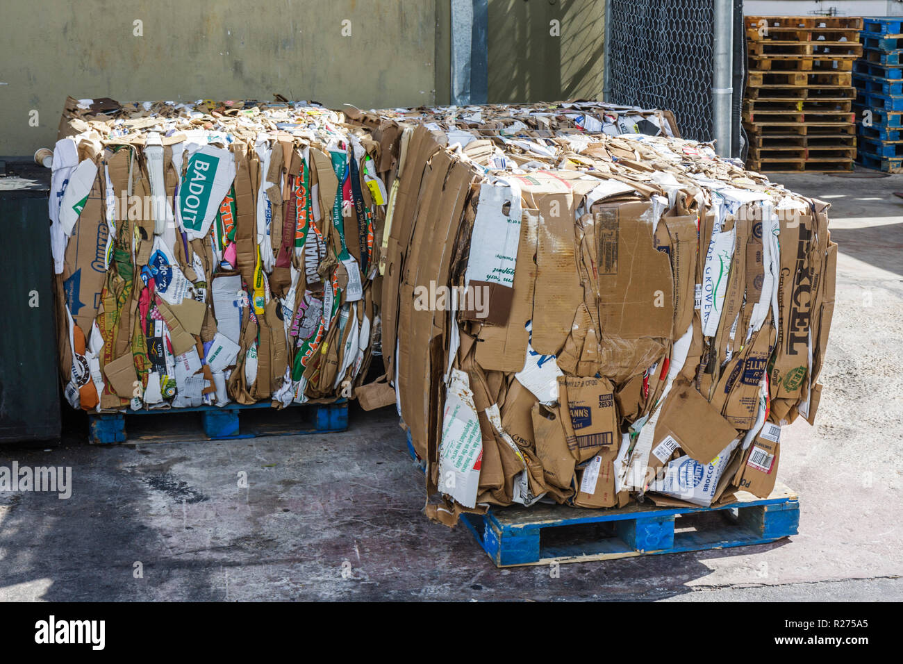 Miami Beach Florida,cajas de cartón,apilar,comprimido,plano,pallet,reciclar,reciclar,conservar,movimiento verde,reutilizar,ecología,FL090131006 Foto de stock