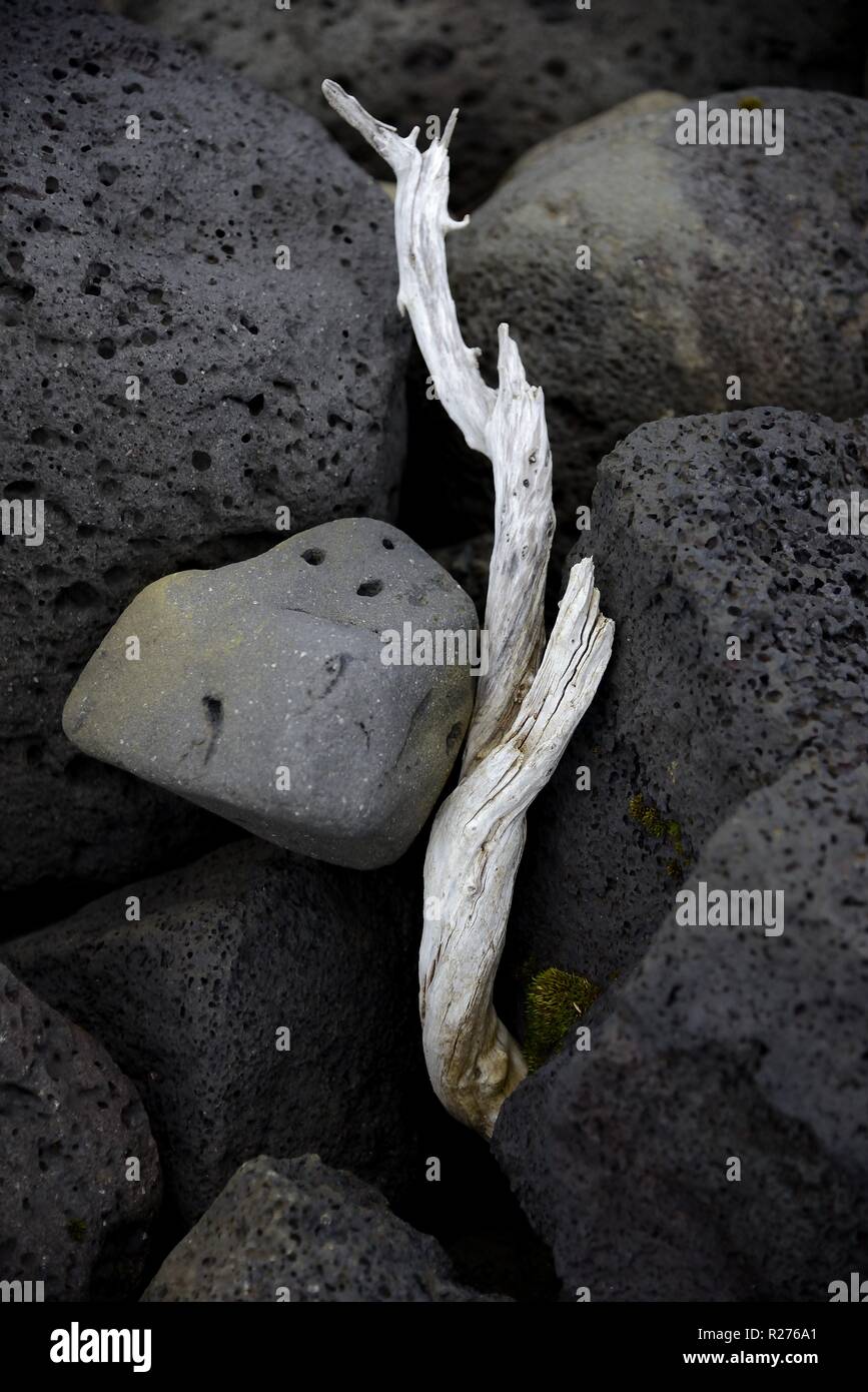 Madera blanca sobre las piedras negras Foto de stock