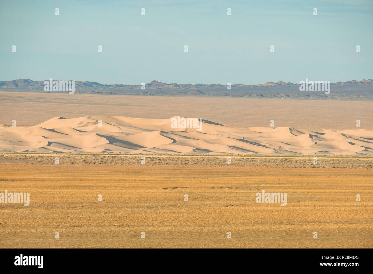 Khongoryn Els dunas de arena en la luz de la mañana. Foto de stock