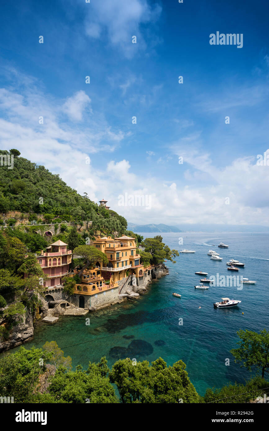 Vista local de pueblo con casas de colores y el puerto de Portofino, en la provincia de Génova, Liguria, Italia Foto de stock