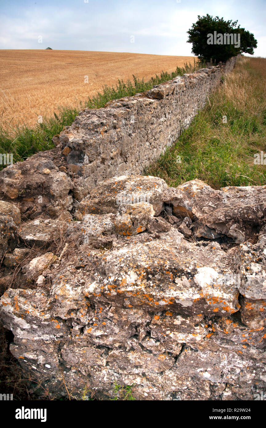 Deer Park muralla medieval , Obispo Middleham, County Durham Foto de stock