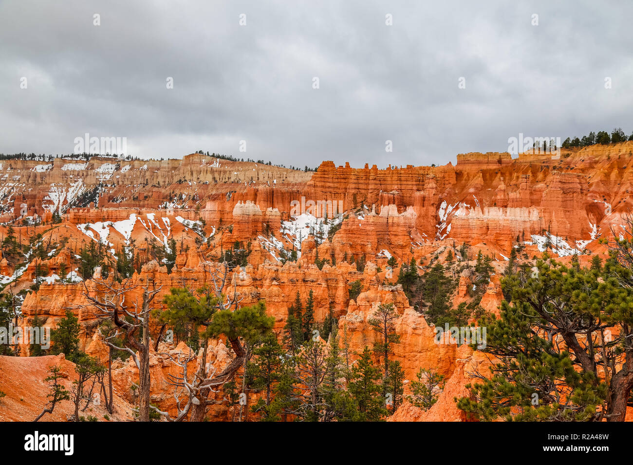 Anfiteatro natural con rocas hoodoos en Bryce Canyon National Park en Utah Foto de stock