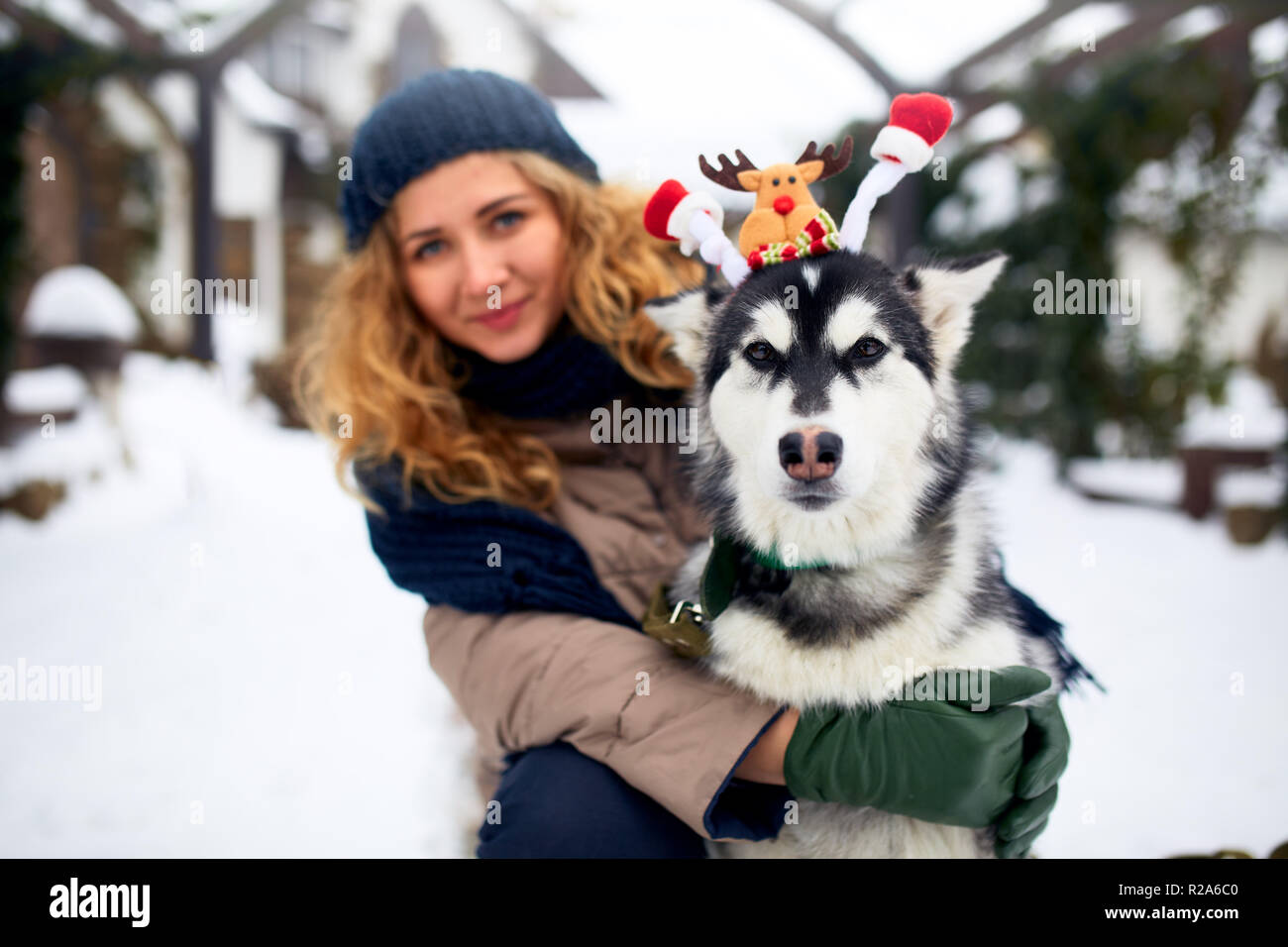 Atractiva mujer caucásica auténtico abrazos gracioso malamute perro vistiendo santa queridos astas de navidad. Rizado mujer sonriente divirtiéndose con cachorro huskie en año nuevo. El Pet es el mejor regalo para las vacaciones. Foto de stock
