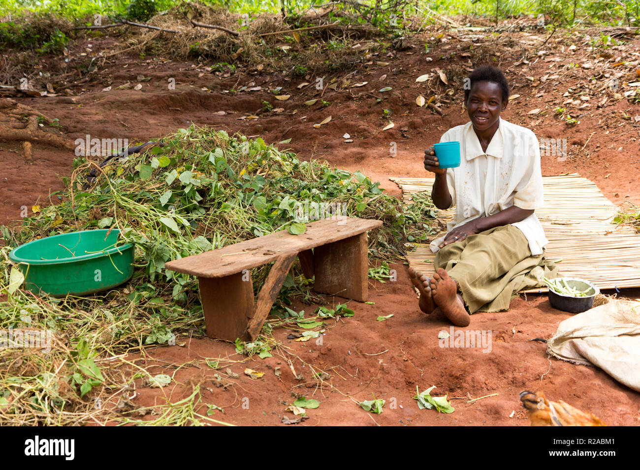 Una mujer africana sentada en la tierra rojiza, gachas de beber de una taza. Junto a ella una pila de frijoles verdes descascarillado. Foto de stock