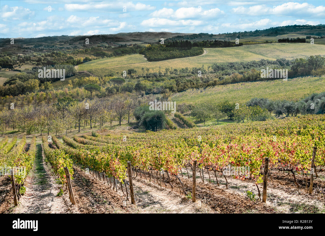 Toscana en octubre: viñedos y olivares mostrar colores de otoño en la ladera de una colina al sur de Florencia, Italia. Foto de stock