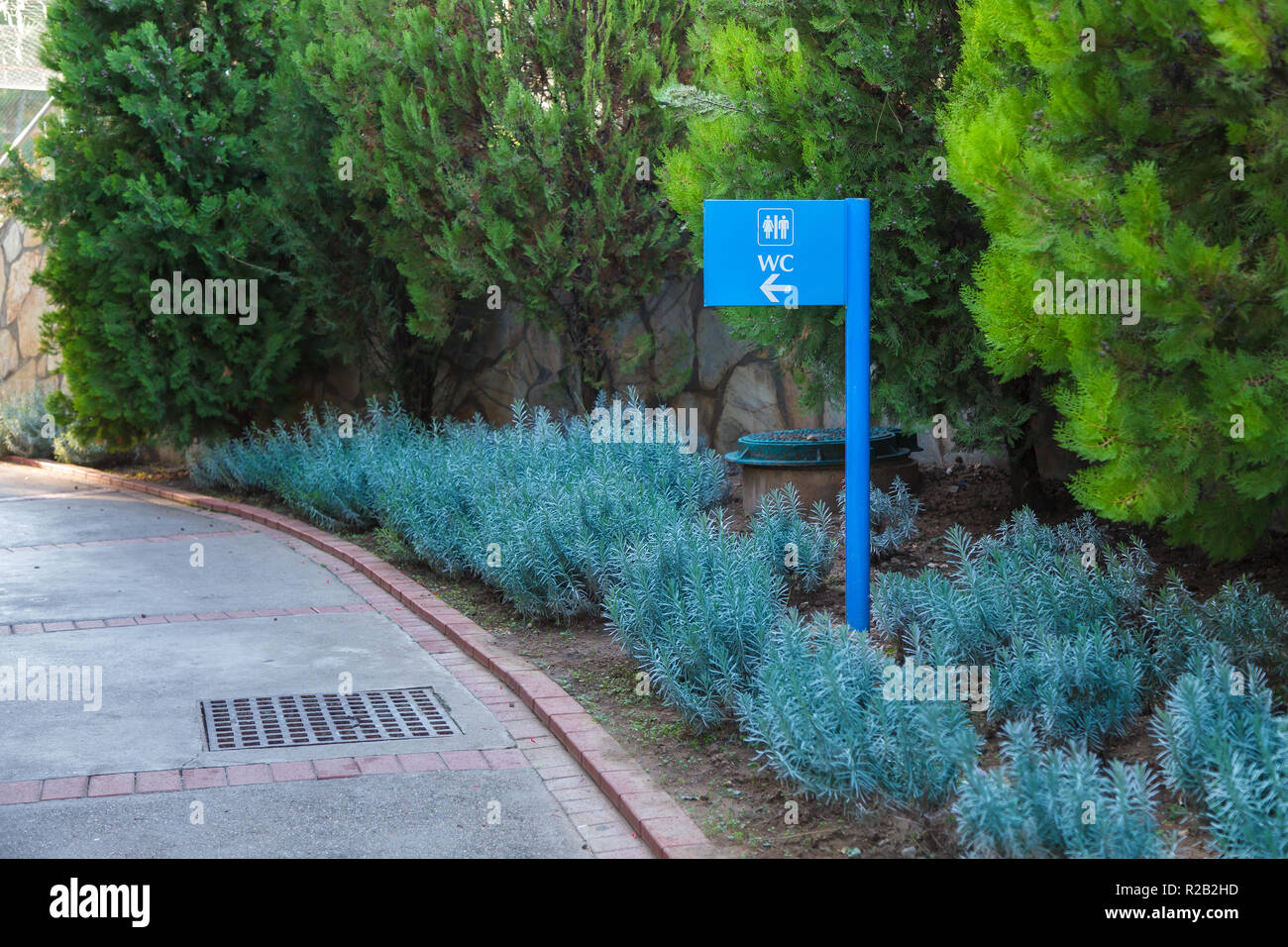 Puntero azul en dirección al baño en el fondo natural de plantas, flores, árboles con hojas verdes en el parque. Antecedentes Foto de stock