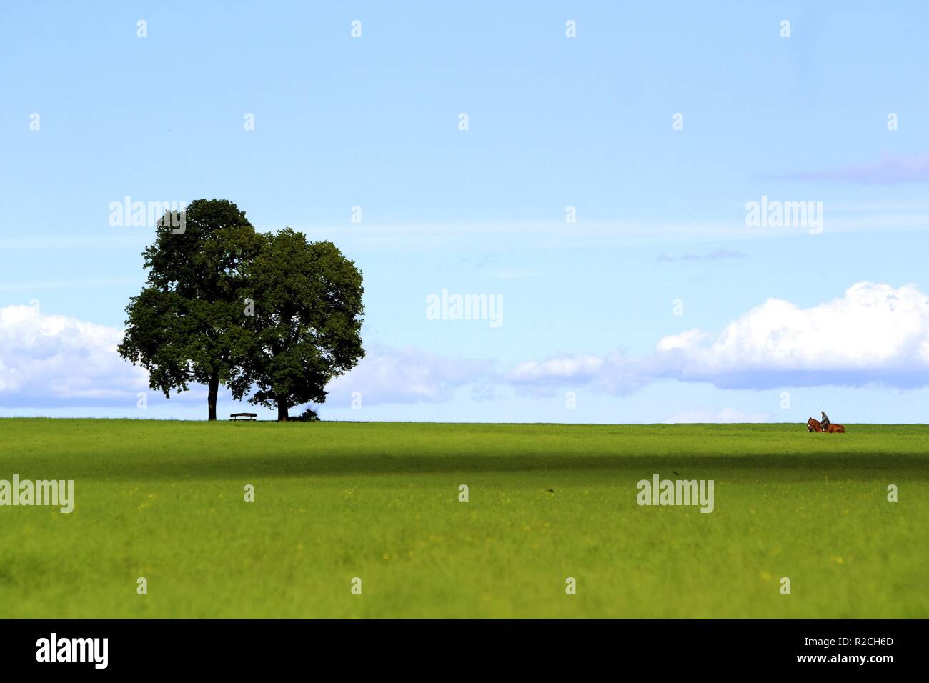 Sommerland Foto de stock