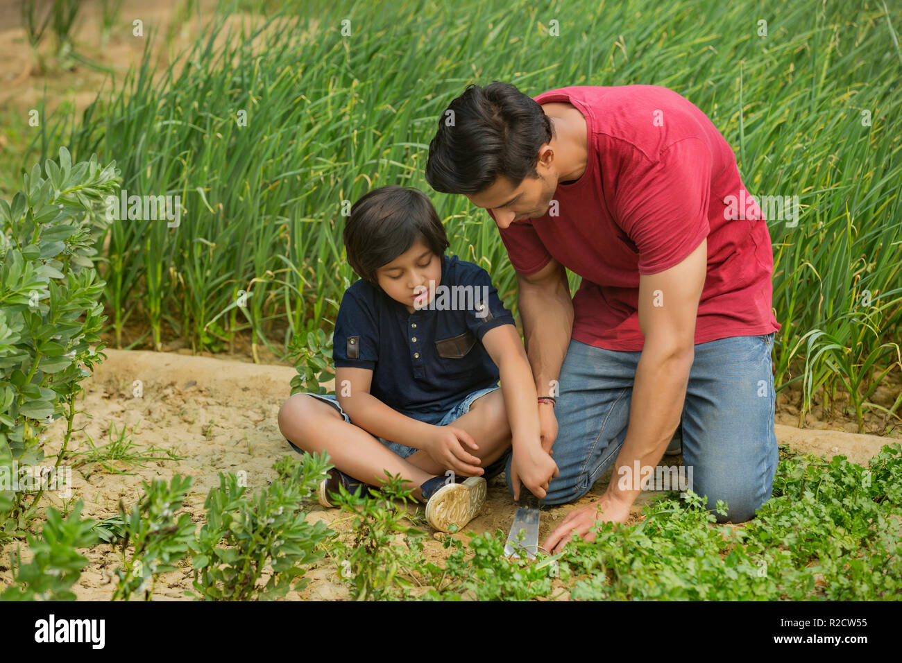 Padre e hijo cortar verduras sentado en el jardín con una espátula. Foto de stock