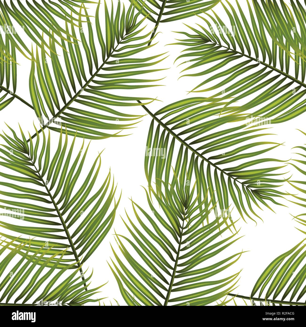 Hojas de palmera vector patrón de fondo Imagen Vector de stock - Alamy
