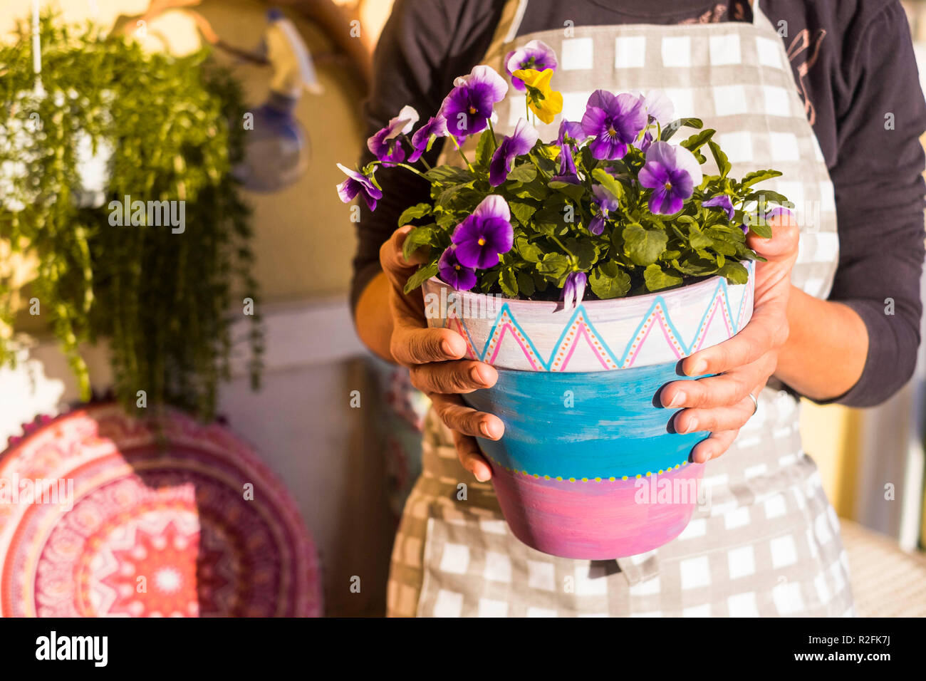 Una mujer tome un jarrón de violeta en casa trabajando en la terraza en su pequeño jardín. arte diseño hecho a mano con un montón de colores. Los rayos de sol y sombra Foto de stock