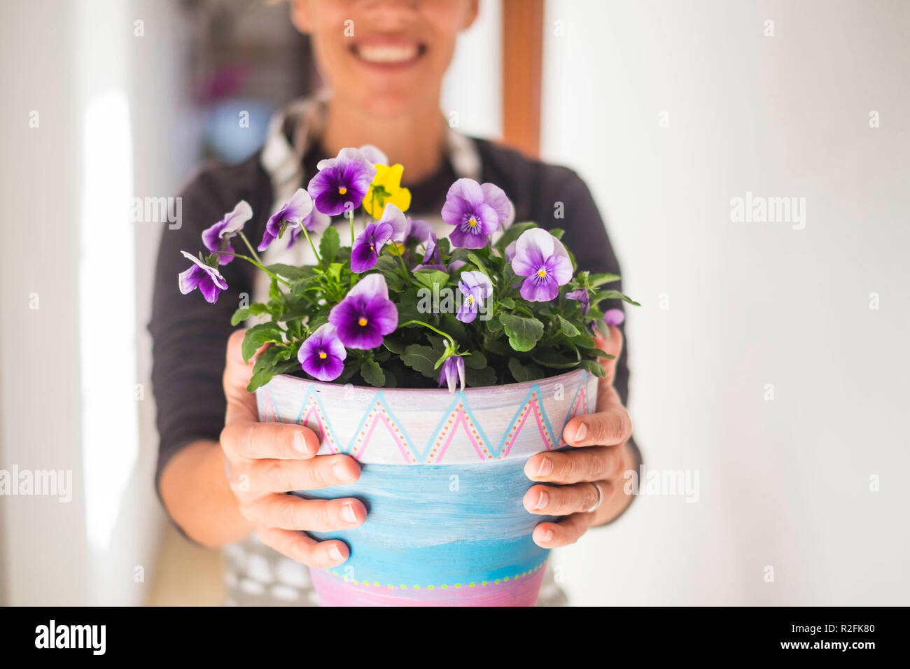 Mujer manos teniendo una EVA de flores violetas en casa. Ropa para el  trabajo a domicilio. tonos vívidos y retroiluminación para una brillante  escena mientras ella sonríe Fotografía de stock - Alamy