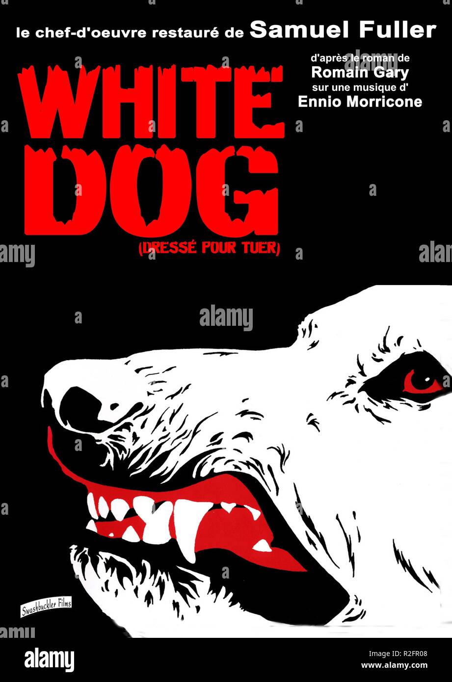 Perro blanco Año : 1982 EE UU Director: Samuel Fuller póster de película  (Fr Fotografía de stock - Alamy