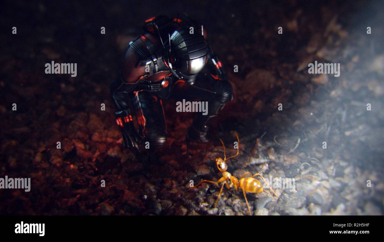 Ant-Man Año : 2015 EE UU Director: Peyton Reed Paul Rudd Foto de stock