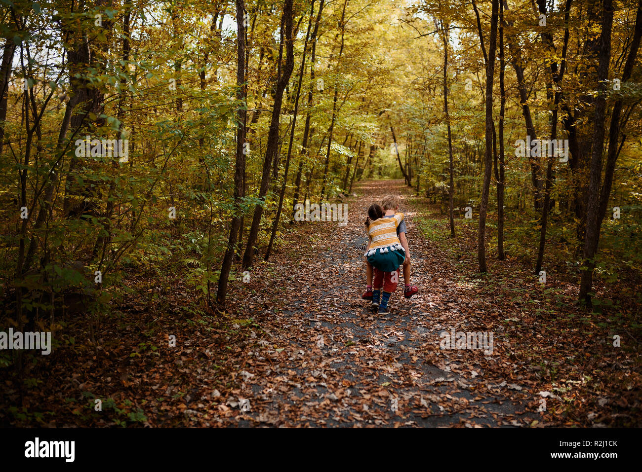 Boy dando a su hermana un piggy back en el bosque, Estados Unidos Foto de stock