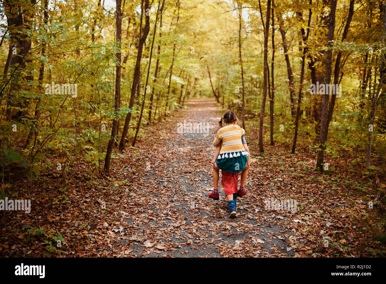 Boy dando a su hermana un piggy back en el bosque, Estados Unidos Foto de stock