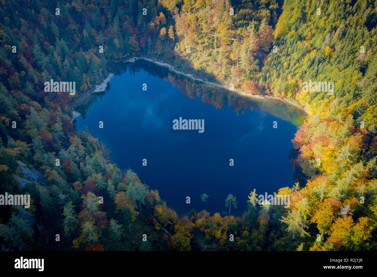 Vista aérea del bosque con árboles por el lago Eibensee cerca de Salzburgo, Austria Foto de stock