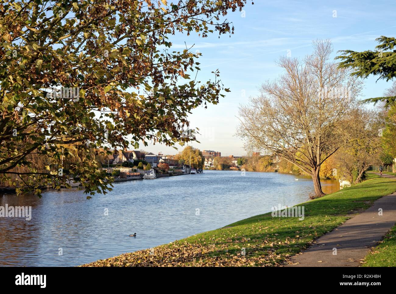 El río Támesis y Riverside en un día de otoño, Staines-on-Thames Surrey, Inglaterra Foto de stock