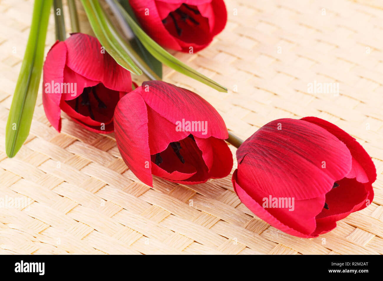 Tulipanes de tela fotografías e imágenes de alta resolución - Alamy