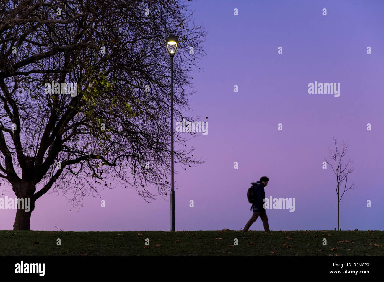 Un hombre que camina solo por la noche pasando por árboles y una calle luz, Nottingham, Inglaterra, Reino Unido. Foto de stock