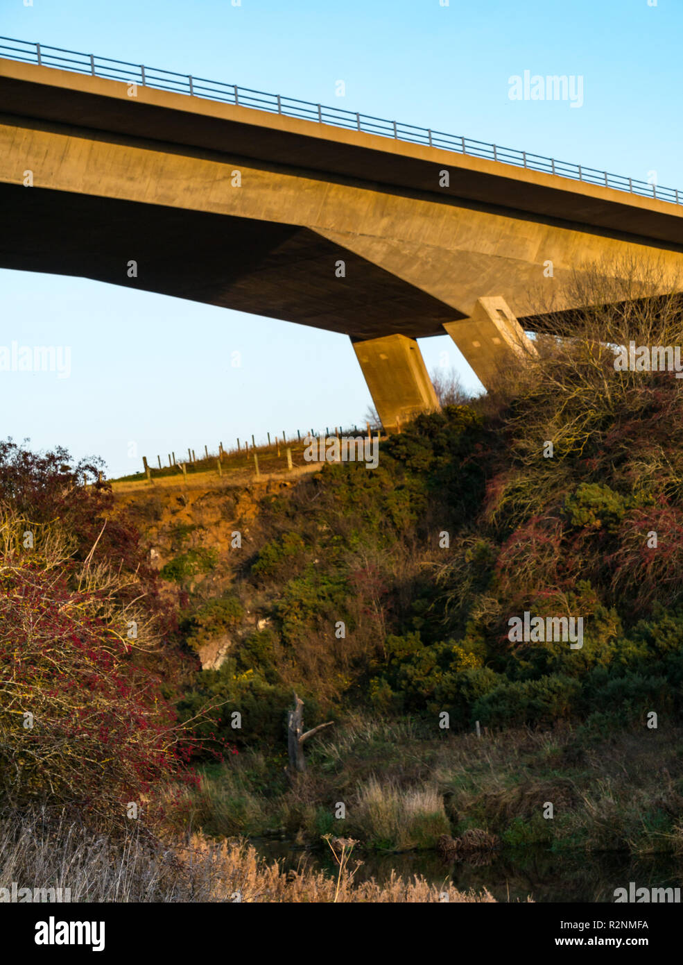 Río Tyne Bridge flyover concretos por Balfour Beatty Ingeniería Civil en la autovía A1 desde abajo, East Lothian, Escocia, Reino Unido Foto de stock