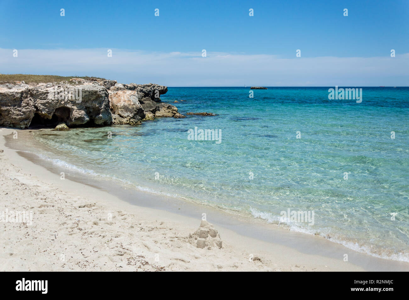 San foca fotografías e imágenes de alta resolución - Alamy