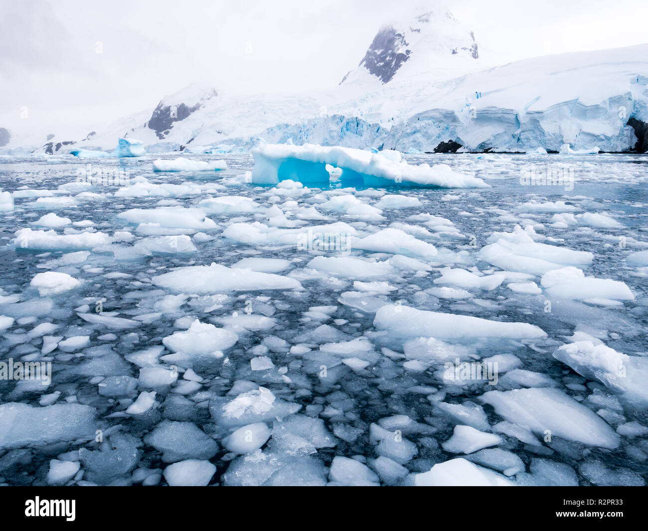 Flotan témpanos de hielo, hielo a la deriva en la Cierva Cove en Bahía Hughes, Tierra de Graham en la Península Antártica, en la Antártida Foto de stock