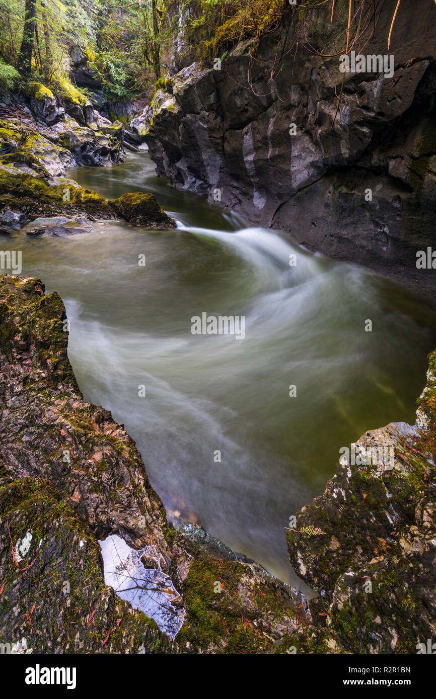Atluck Creek el corte a través de la piedra caliza fundido creando Huson Puente Natural Cueva pequeña cueva Huson Regional Park, en el norte de la isla de Vancouver, British Columbia, Canadá Foto de stock