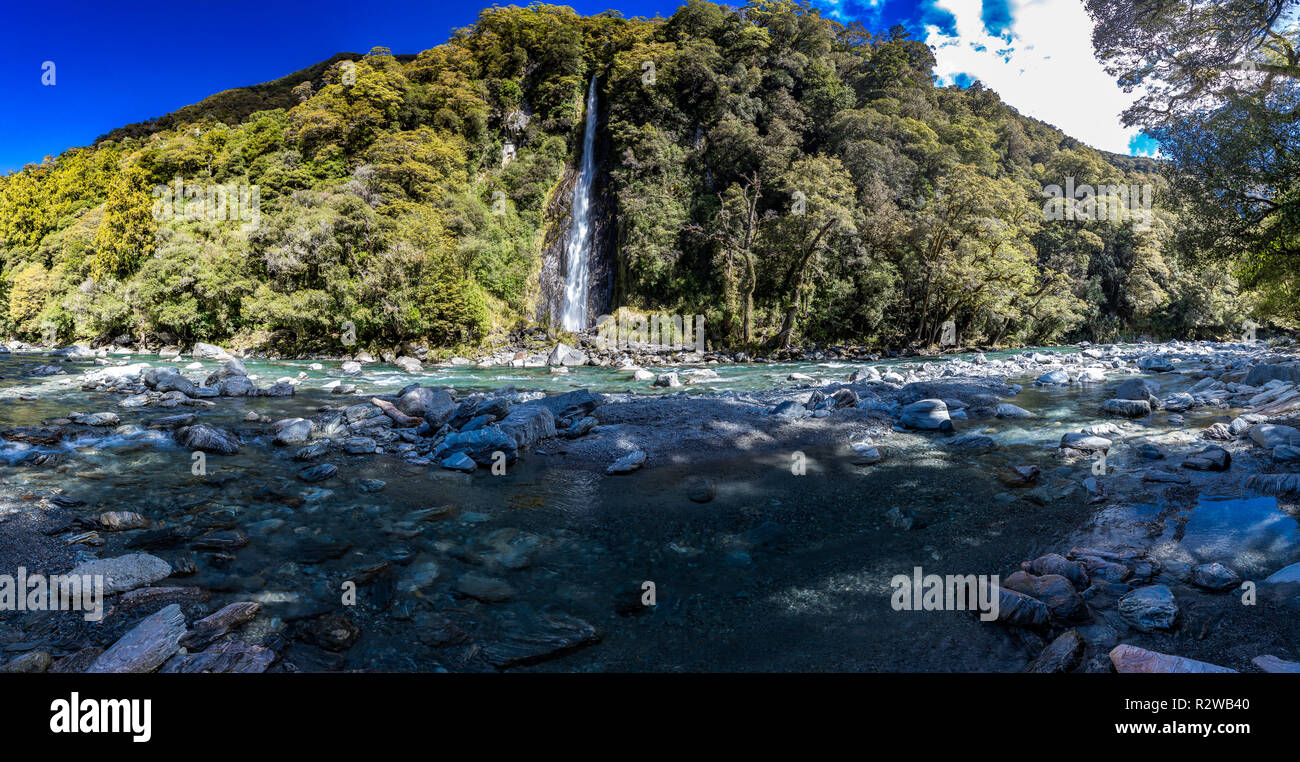 Thunder Creek Cascada en el Parque Nacional de Mt aspirantes, Haast Pass, región de la Costa Oeste, Isla del Sur, Nueva Zelanda Foto de stock