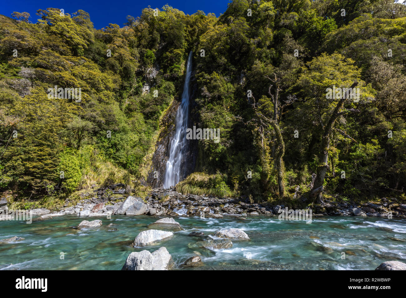 Thunder Creek Cascada en el Parque Nacional de Mt aspirantes, Haast Pass, región de la Costa Oeste, Isla del Sur, Nueva Zelanda Foto de stock