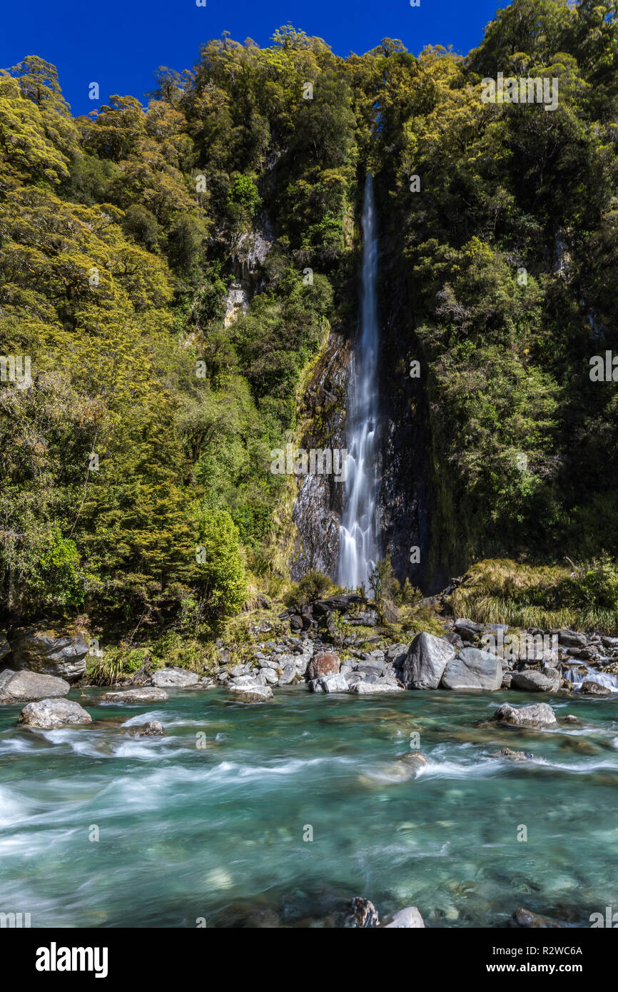 Thunder Creek Cascada en el Parque Nacional de Mt aspirantes, Haast Pass, región de la Costa Oeste, Isla del Sur, Nueva Zelanda Foto de stock