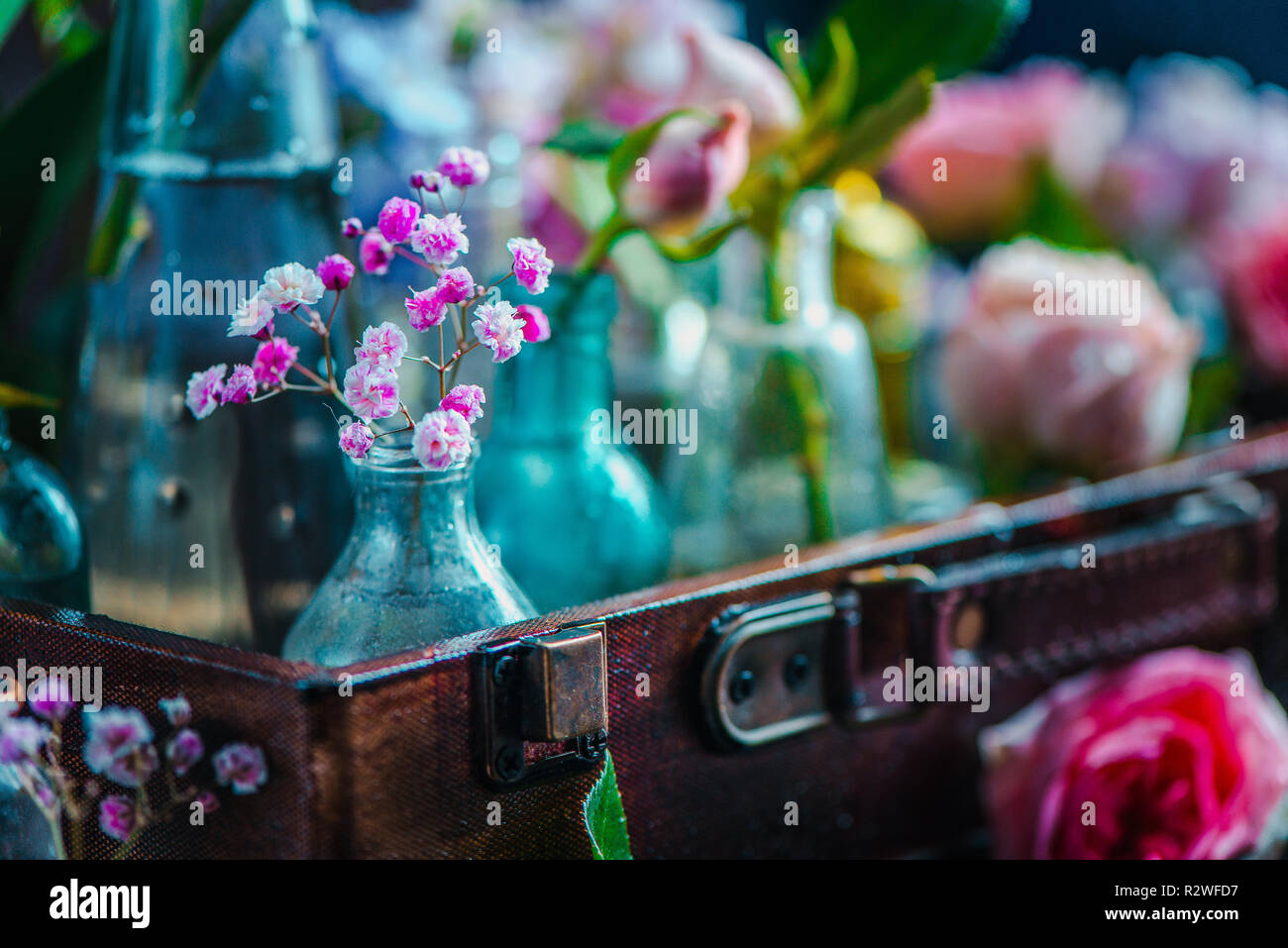 Colección de flores en botellas de vidrio vintage cerca. La botánica y cabezal de perfume sobre un fondo oscuro con espacio de copia. Retroiluminación y contraste de color Foto de stock