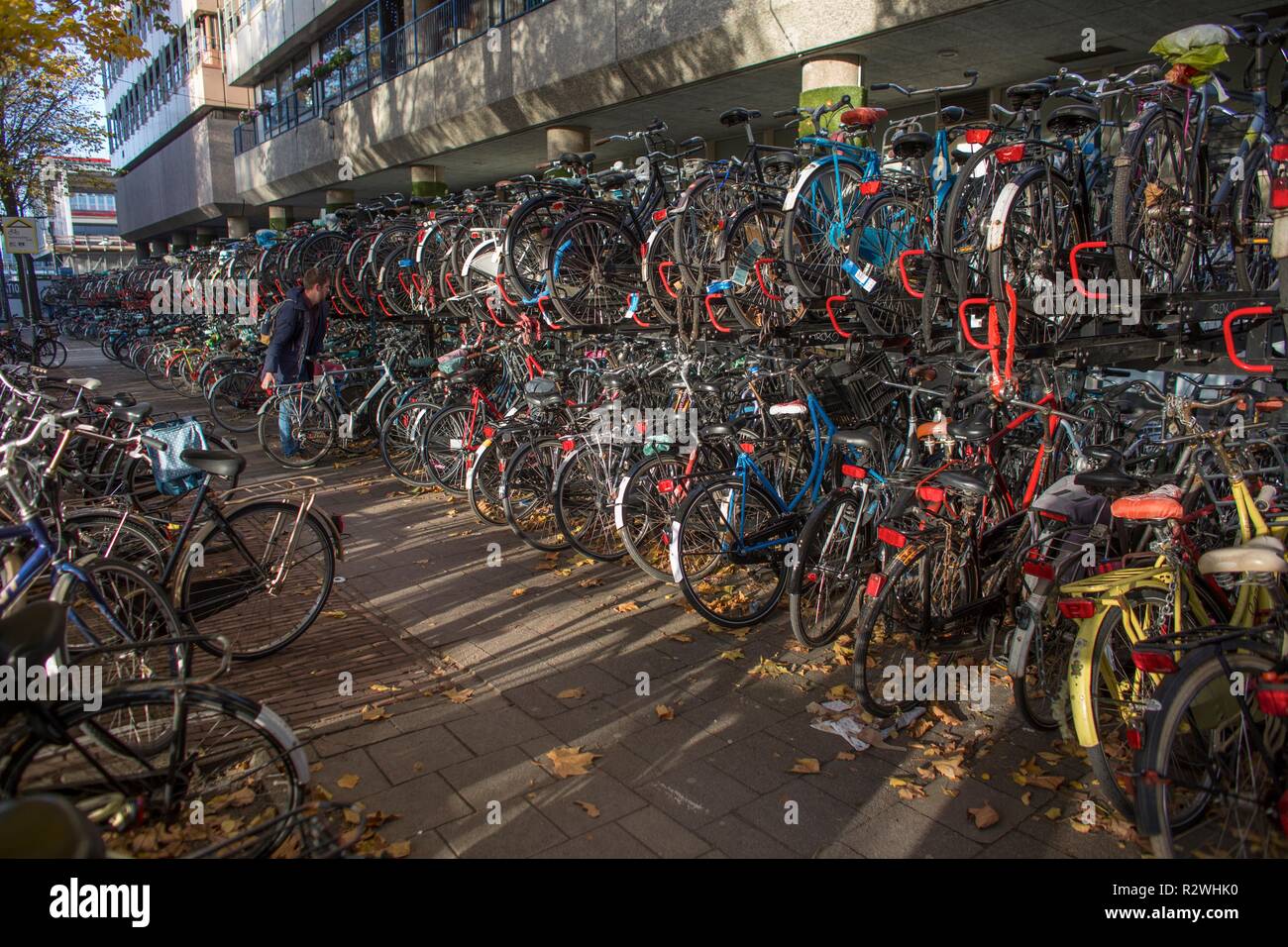 Parking de bicicletas en la Estación Central de Utrecht. Foto de stock