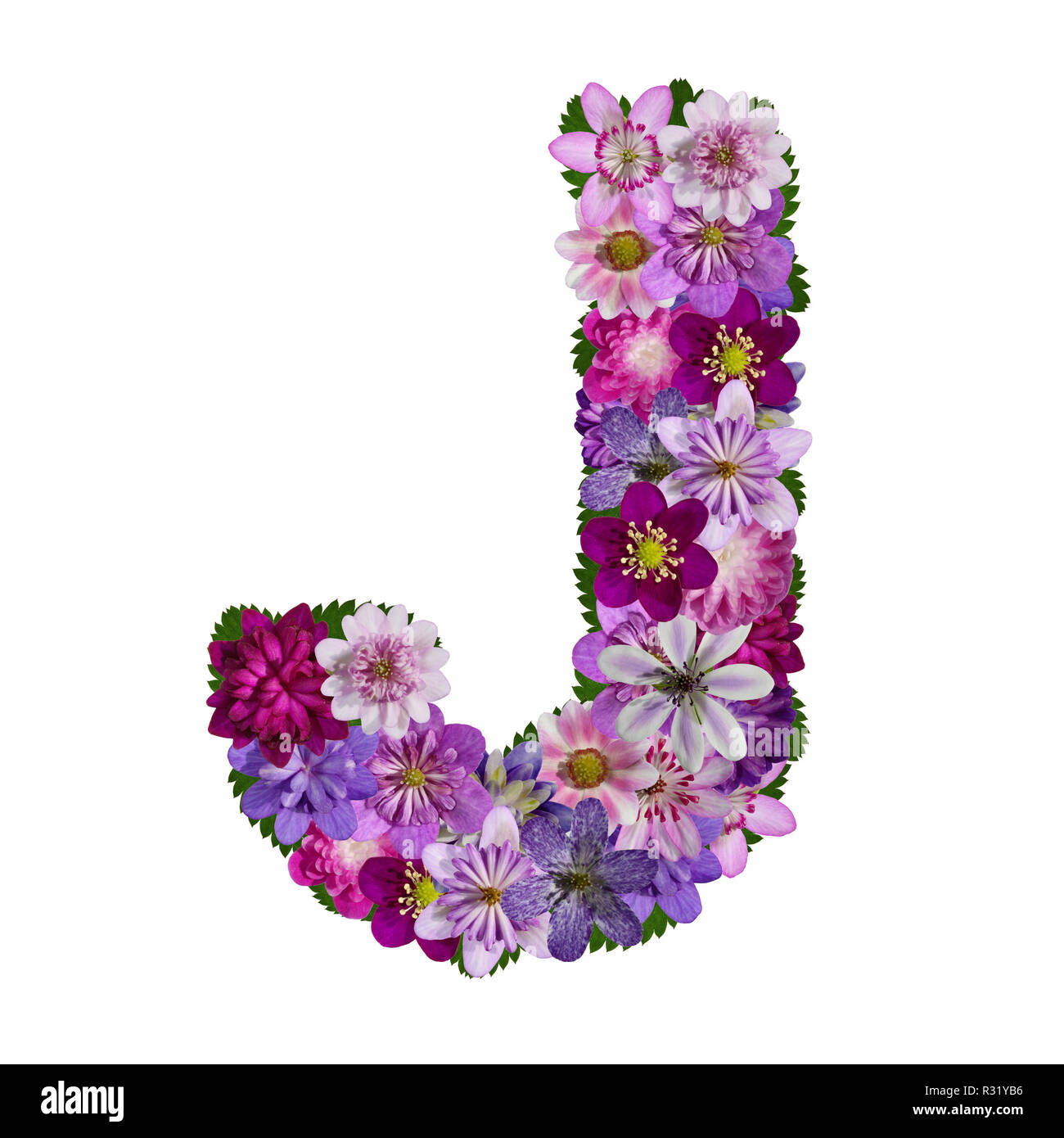 Flores alfabeto fotografías e imágenes de alta resolución Alamy