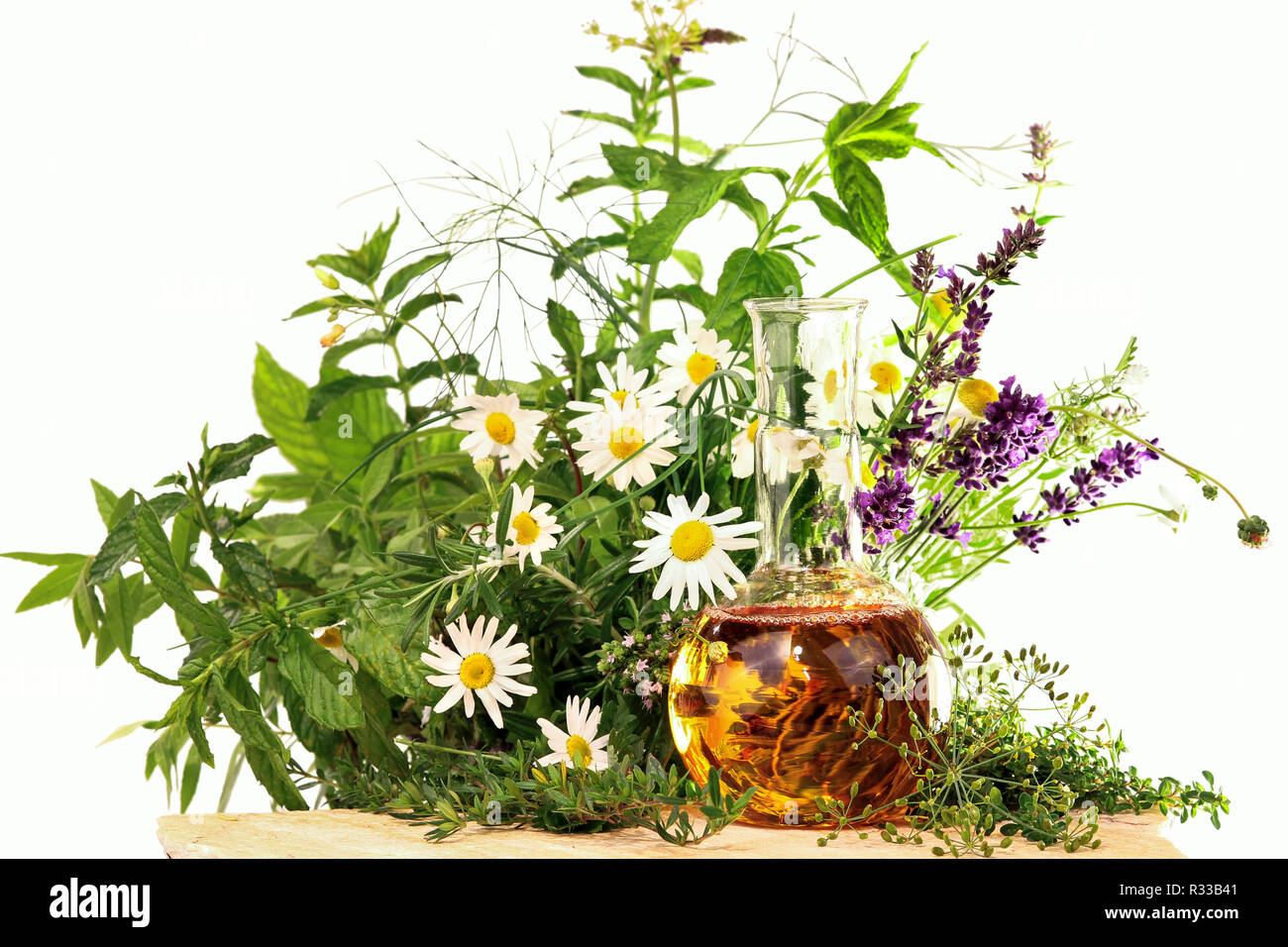 Las hierbas y plantas medicinales, la homeopatía Foto de stock