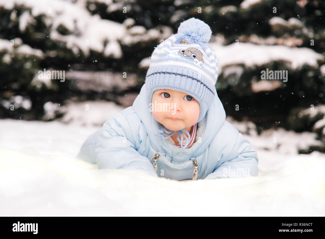Hermoso bebé mono en mentiras sobre la nieve y espera con expectación  Fotografía de stock - Alamy