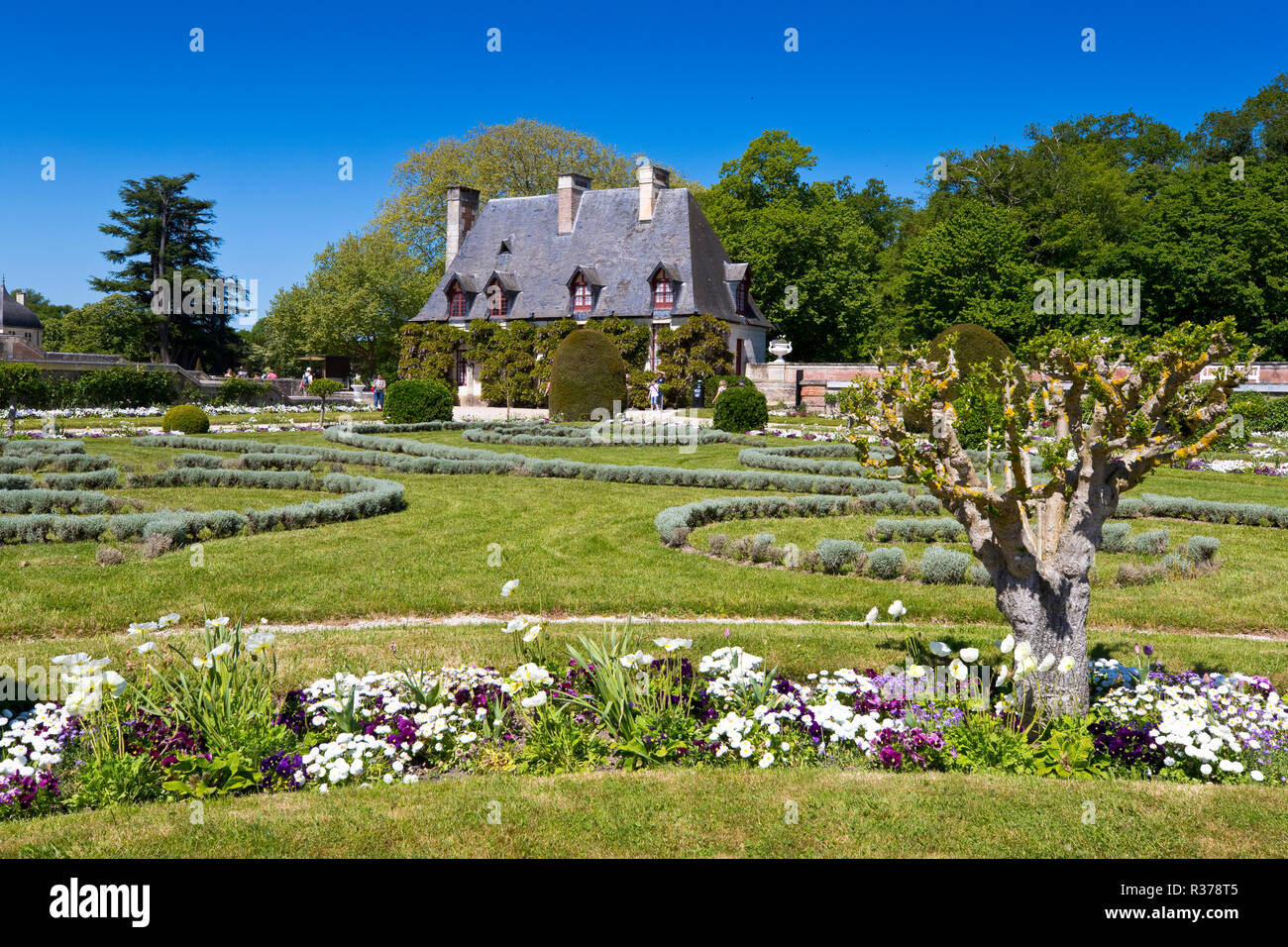 Jardín de Catalina de Médicis, Château de Chenonceau, Valle del Loira, Francia Foto de stock