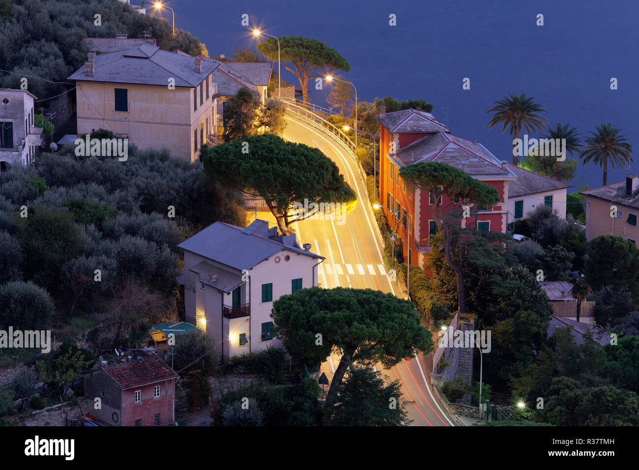 Curva de carretera entre casas y pinos, por la noche, iluminado, Provincia de Génova, la riviera italiana, Riviera di Levante, Liguria Foto de stock