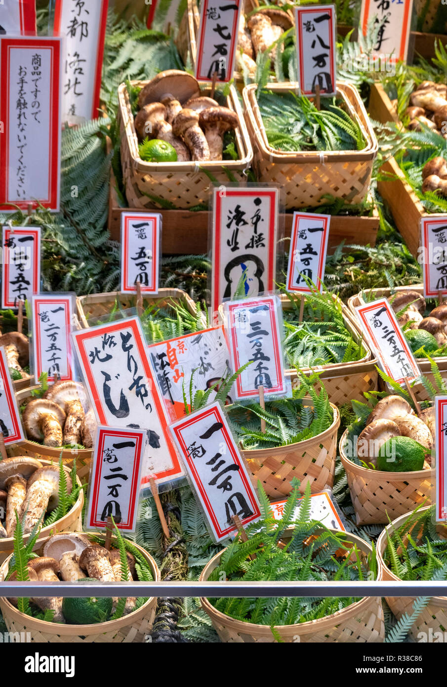 Los matsutake, seta de pino, Tricholoma matsutake en Toriichi Shinise tienda especializada en calle Teramachi Kyoto Foto de stock